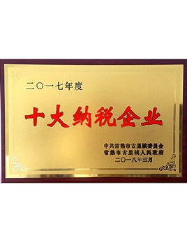 十大纳税企业